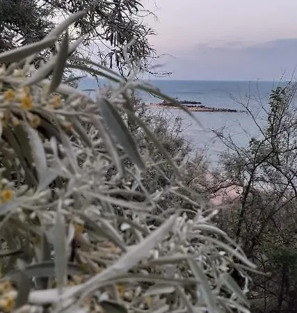 La Casuta Eforie Sud (Constanta)